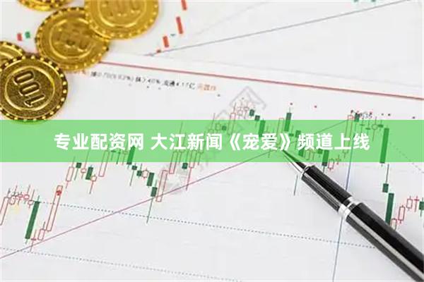 专业配资网 大江新闻《宠爱》频道上线